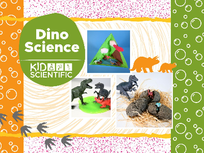 Dino Science Summer Camp (4-9 years)